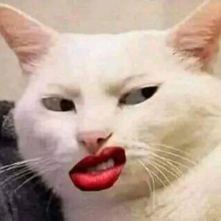 99+ meme khinh bỉ cực chất cho biểu cảm thêm sắc sảo · ảnh 3