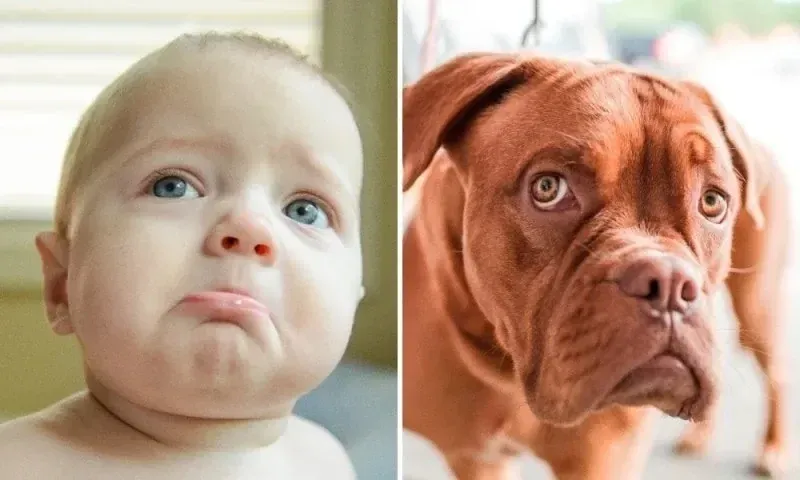 99+ meme khinh bỉ cực chất cho những pha đáp trả ấn tượng · ảnh 2