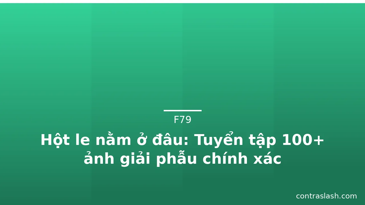 Hột le nằm ở đâu: Tuyển tập 100+ ảnh giải phẫu chính xác · ảnh 1