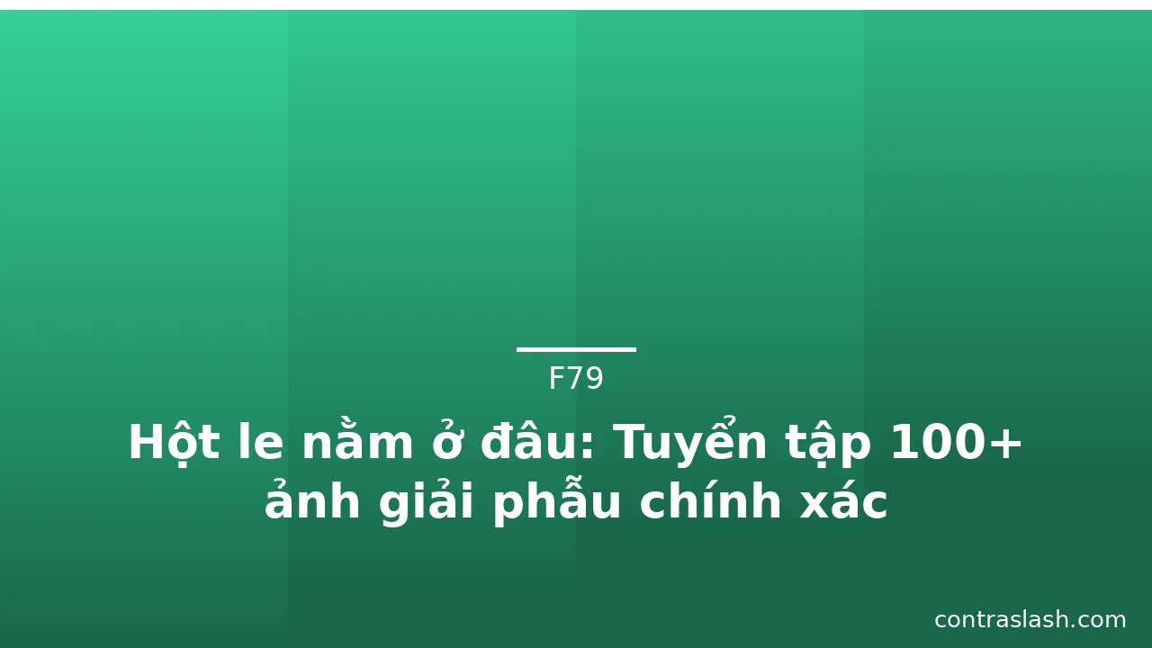 Hột le nằm ở đâu: Tuyển tập 100+ ảnh giải phẫu chính xác · ảnh 2