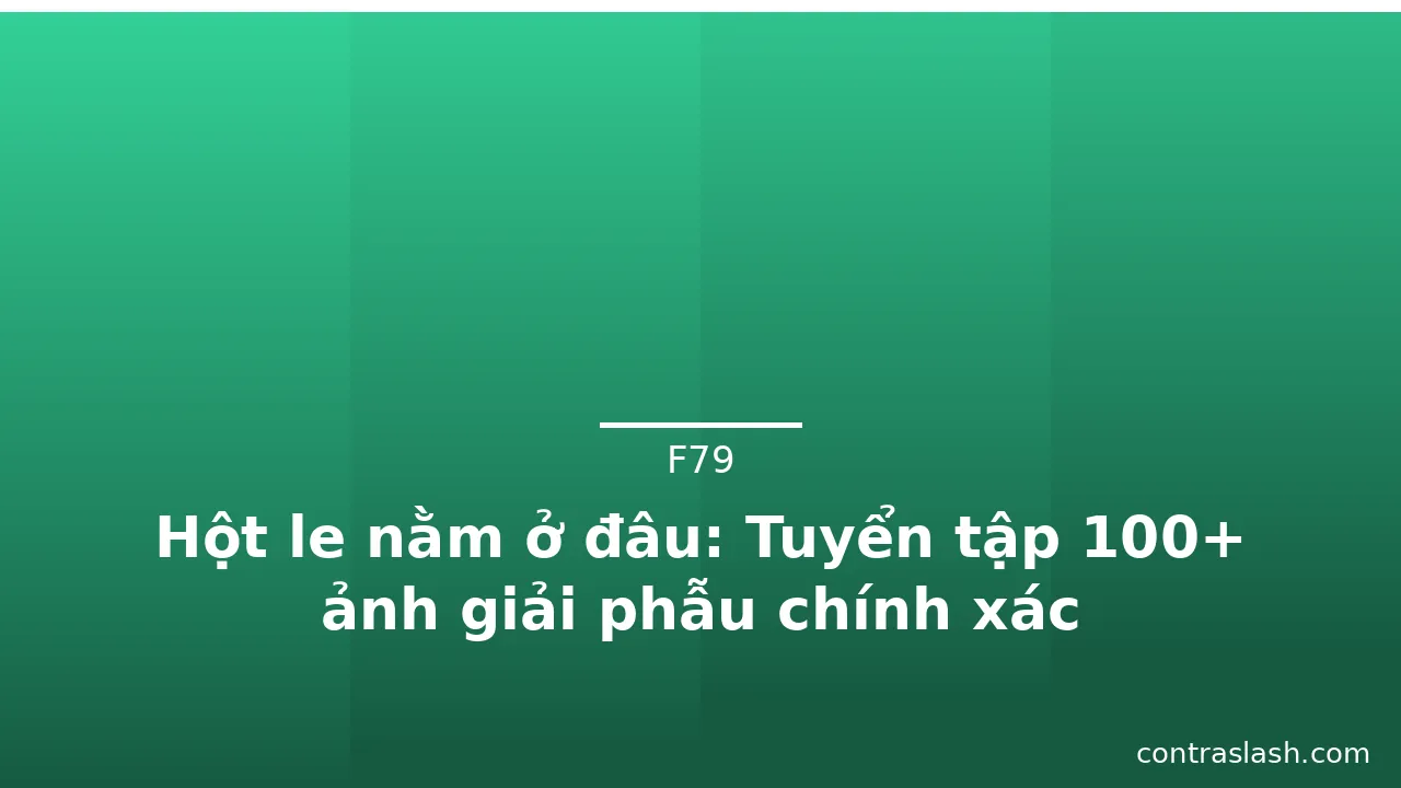 Hột le nằm ở đâu: Tuyển tập 100+ ảnh giải phẫu chính xác · ảnh 3
