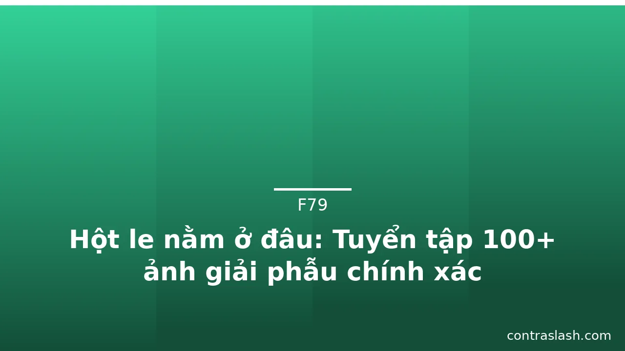 Hột le nằm ở đâu: Tuyển tập 100+ ảnh giải phẫu chính xác