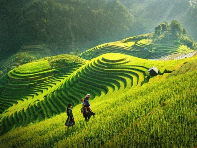 Khám phá Hình ảnh quê hương — thư viện ảnh HD tuyển chọn · ảnh 3