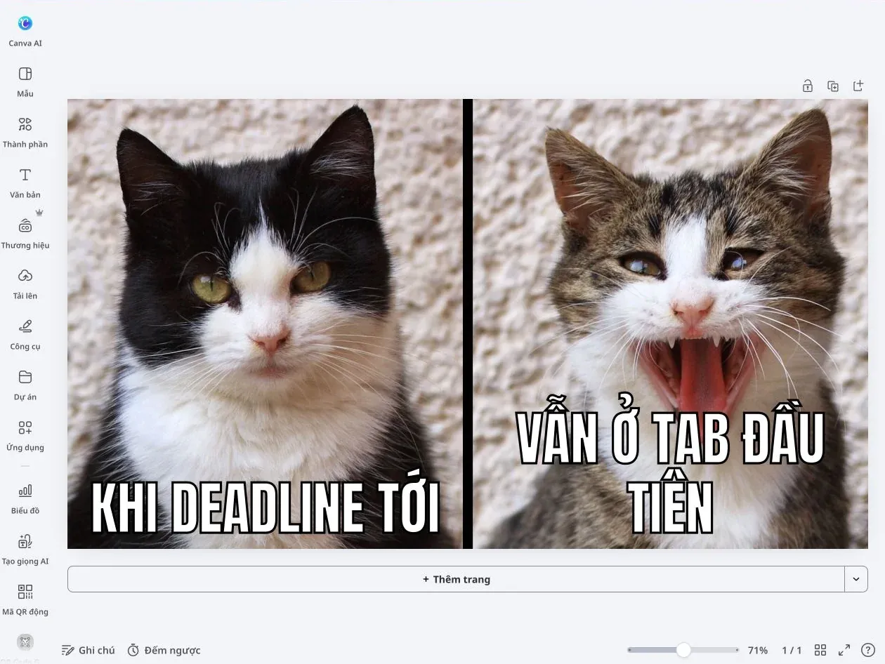 Meme Ghi Lại Kiến Thức: Cách Học Sinh Động, Nhớ Lâu Hơn · ảnh 3