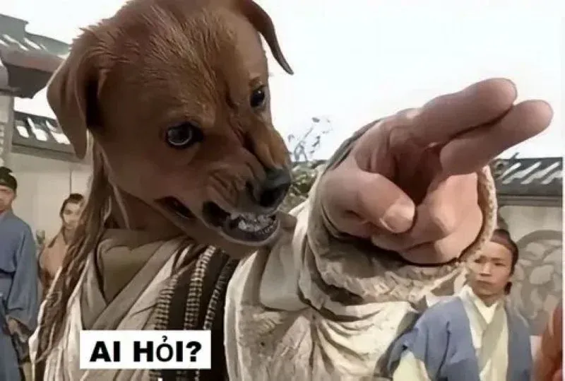 Tuyển tập 100+ ảnh meme ai hỏi chất lầy cực mặn · ảnh 1