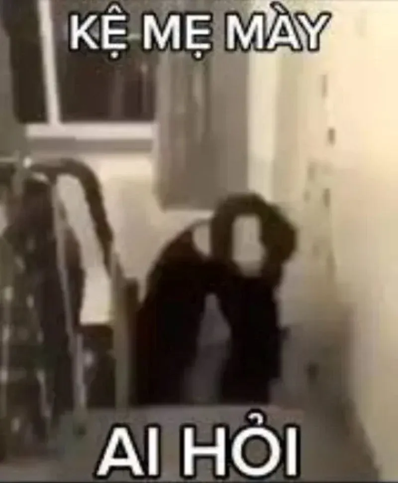 Tuyển tập 100+ ảnh meme ai hỏi chất lầy cực mặn · ảnh 3